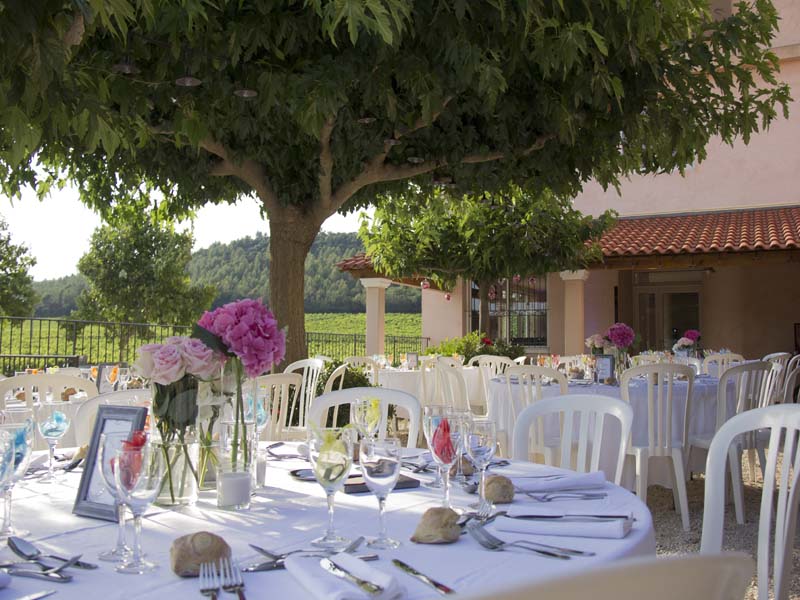 Domaine de Sigalous_83260 LA CRAU_10
